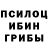 Псилоцибиновые грибы мицелий miki FF